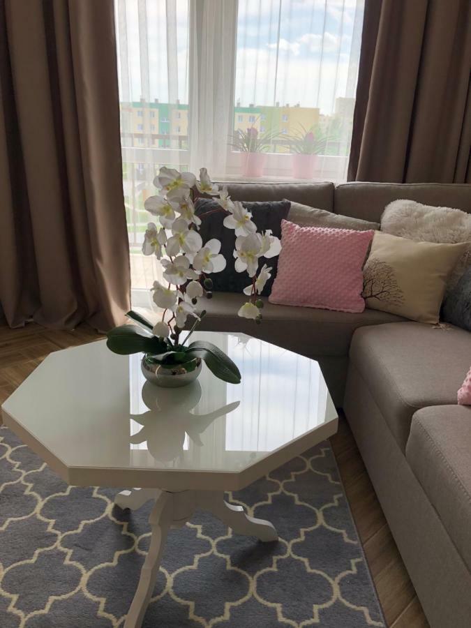Family & Business Elegant Apartments Ul Warszawska - 2 Bedroom, Balcony, Parking كيلتشي المظهر الخارجي الصورة